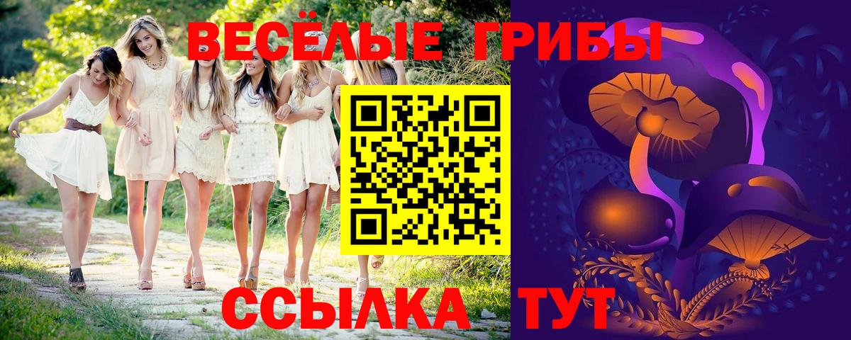Гуково  Псилоцибиновые грибы мицелий  Вход с VPN 